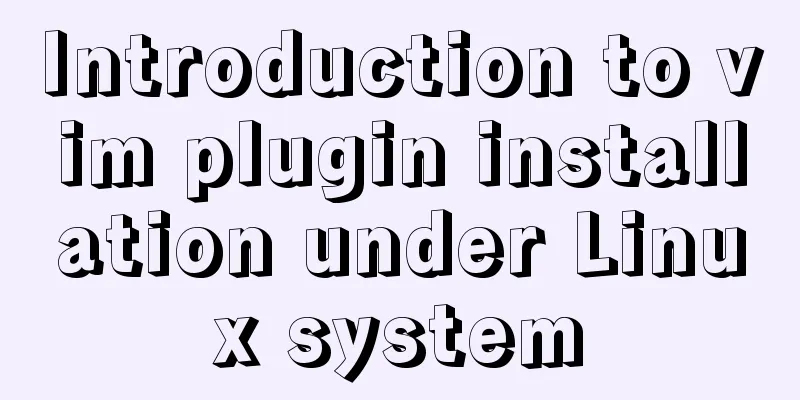Introduction to vim plugin installation under Linux system
