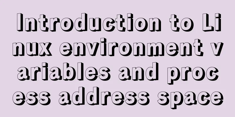 Introduction to Linux environment variables and process address space