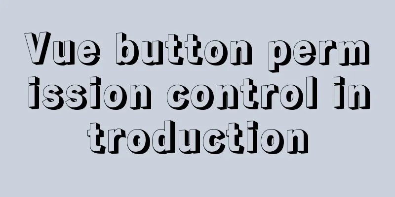 Vue button permission control introduction