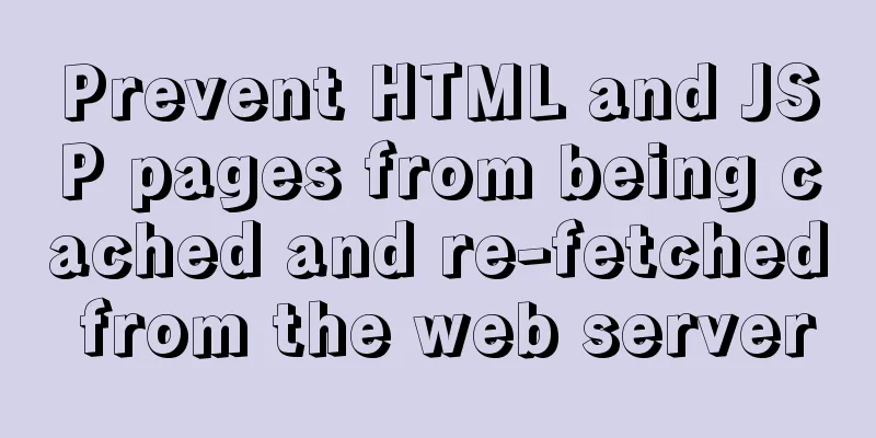Prevent HTML and JSP pages from being cached and re-fetched from the web server