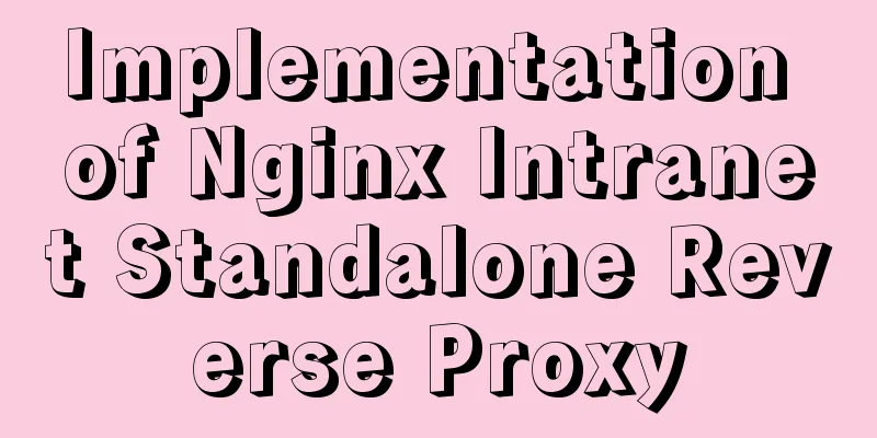 Implementation of Nginx Intranet Standalone Reverse Proxy
