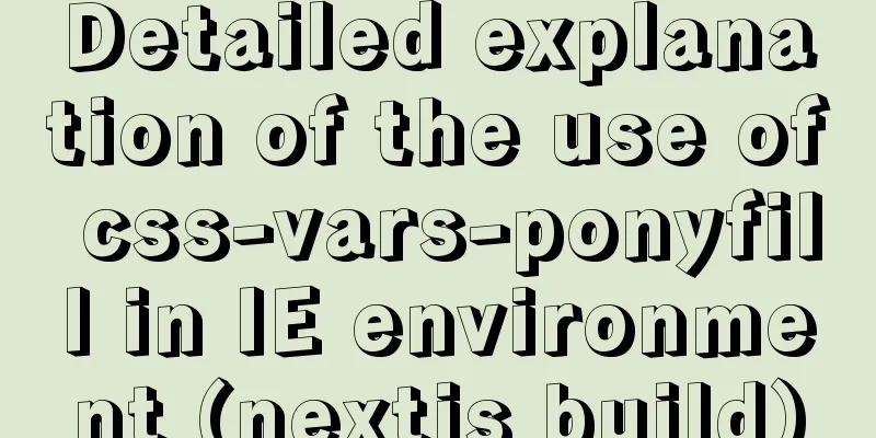 Detailed explanation of the use of css-vars-ponyfill in IE environment (nextjs build)