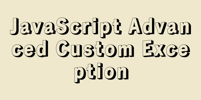 JavaScript Advanced Custom Exception