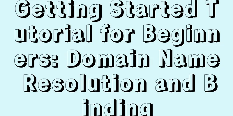 Getting Started Tutorial for Beginners: Domain Name Resolution and Binding
