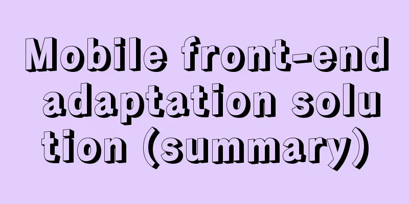 Mobile front-end adaptation solution (summary)