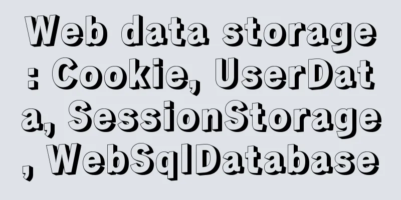 Web data storage: Cookie, UserData, SessionStorage, WebSqlDatabase