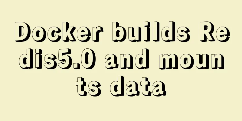 Docker builds Redis5.0 and mounts data