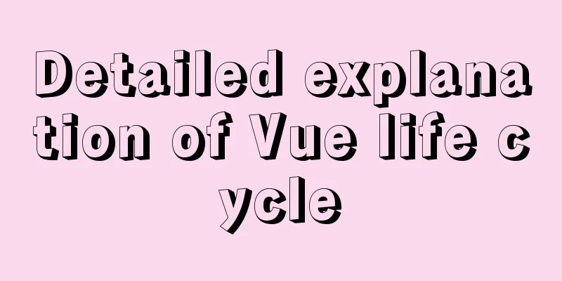 Detailed explanation of Vue life cycle
