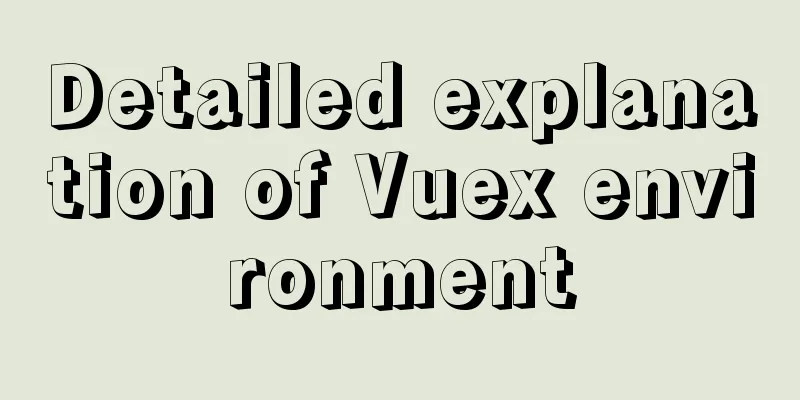 Detailed explanation of Vuex environment