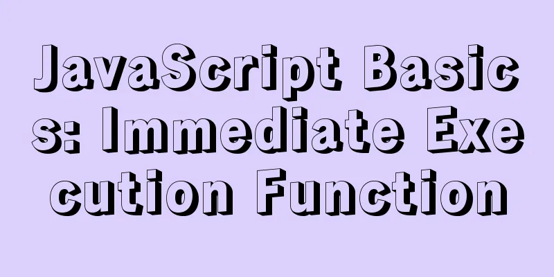 JavaScript Basics: Immediate Execution Function
