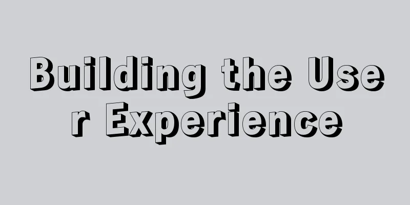 Building the User Experience