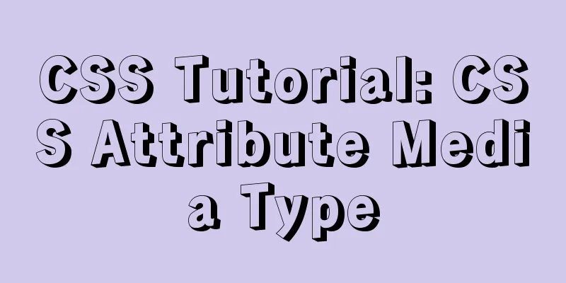 CSS Tutorial: CSS Attribute Media Type