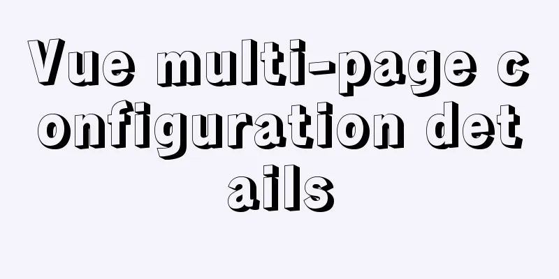 Vue multi-page configuration details