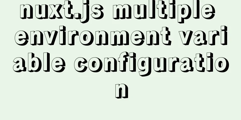 nuxt.js multiple environment variable configuration