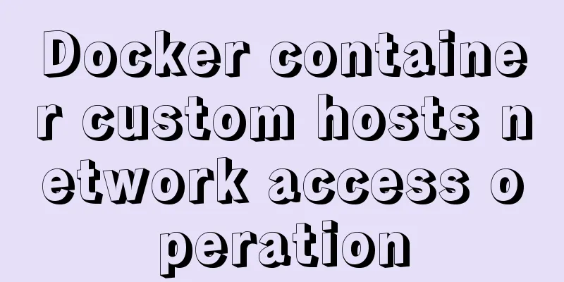 Docker container custom hosts network access operation