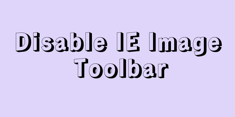 Disable IE Image Toolbar
