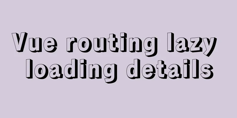 Vue routing lazy loading details