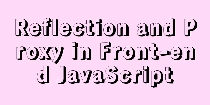 Reflection and Proxy in Front-end JavaScript