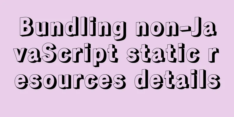 Bundling non-JavaScript static resources details