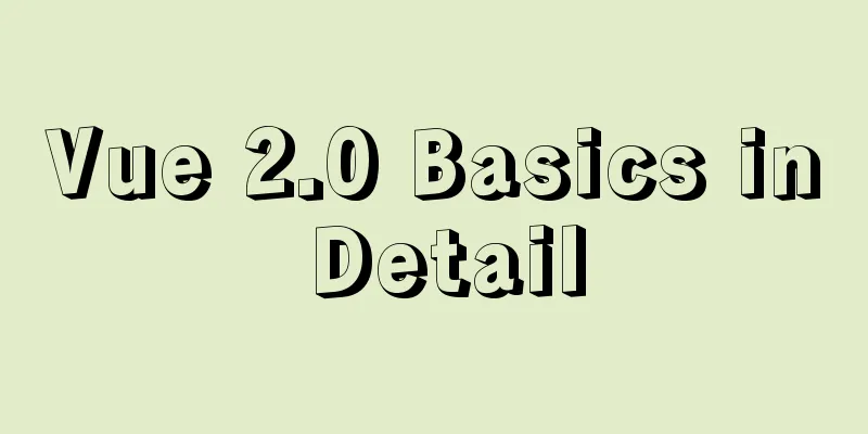 Vue 2.0 Basics in Detail