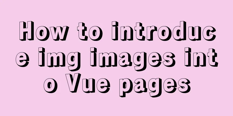 How to introduce img images into Vue pages