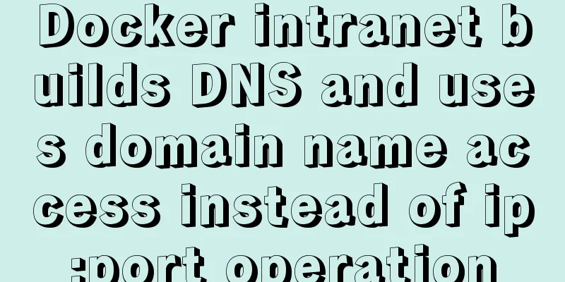 Docker intranet builds DNS and uses domain name access instead of ip:port operation