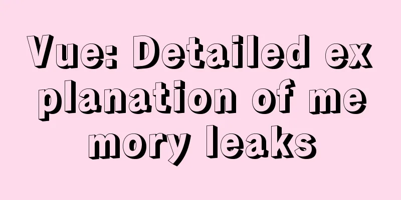 Vue: Detailed explanation of memory leaks