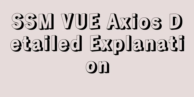 SSM VUE Axios Detailed Explanation