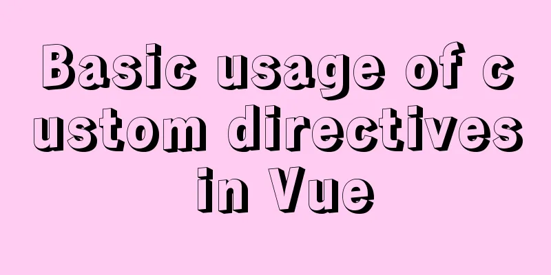 Basic usage of custom directives in Vue