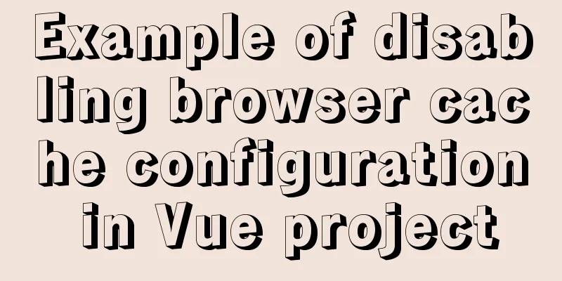 Example of disabling browser cache configuration in Vue project