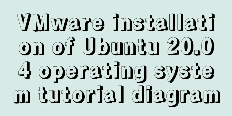 VMware installation of Ubuntu 20.04 operating system tutorial diagram