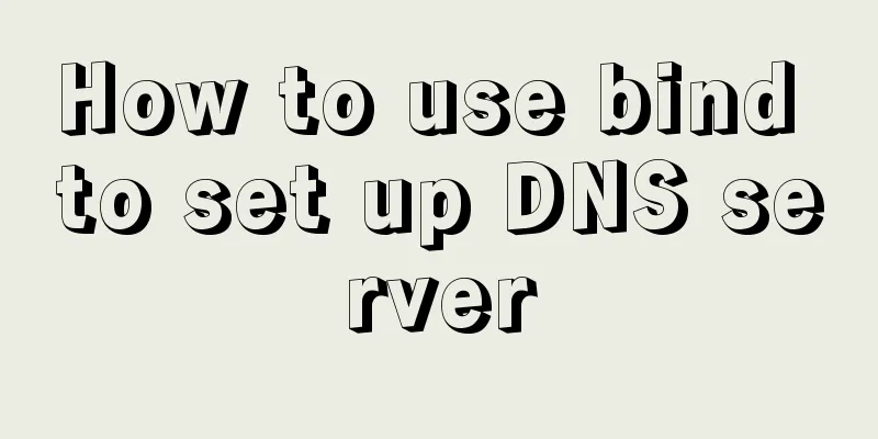 How to use bind to set up DNS server