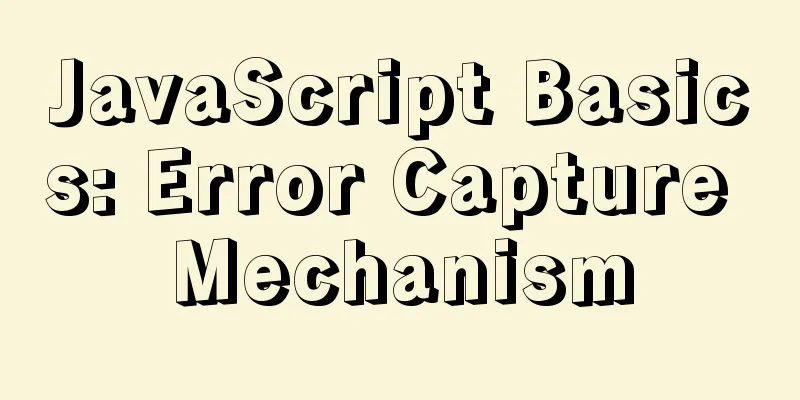 JavaScript Basics: Error Capture Mechanism