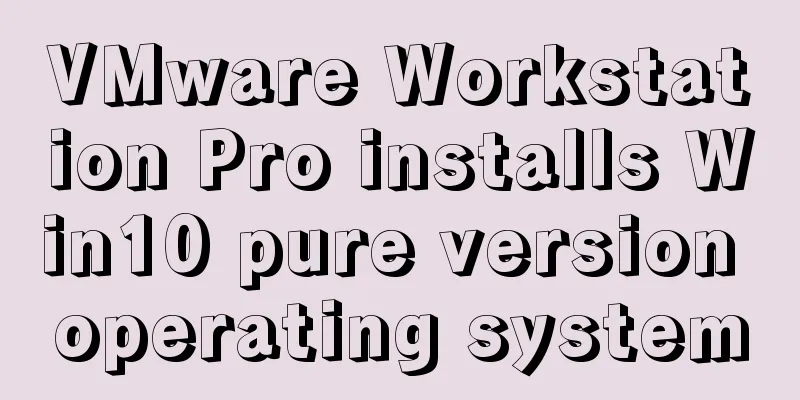 VMware Workstation Pro installs Win10 pure version operating system