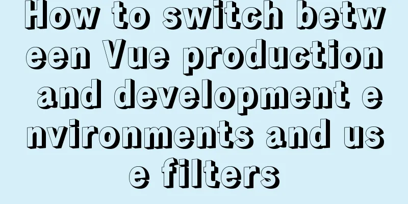 How to switch between Vue production and development environments and use filters