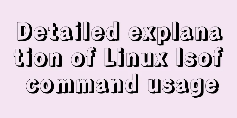 Detailed explanation of Linux lsof command usage