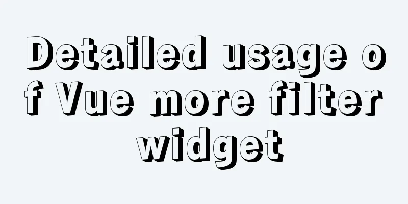 Detailed usage of Vue more filter widget