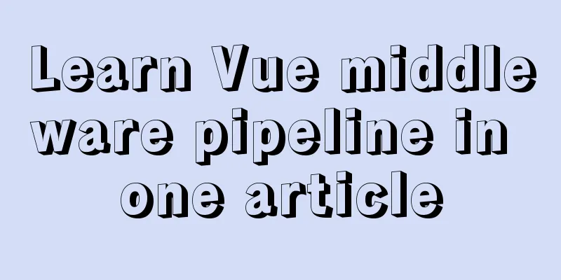 Learn Vue middleware pipeline in one article