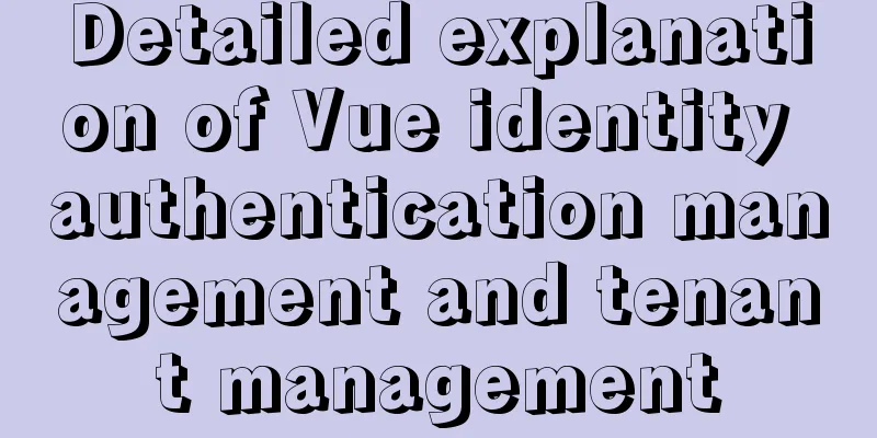 Detailed explanation of Vue identity authentication management and tenant management