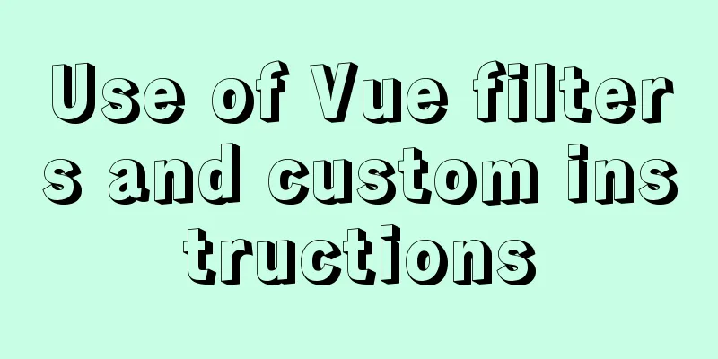 Use of Vue filters and custom instructions