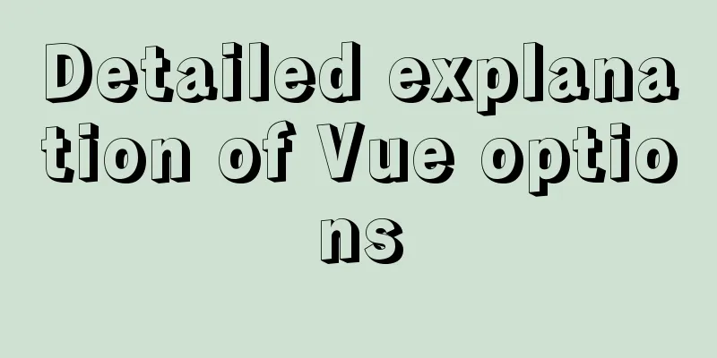 Detailed explanation of Vue options
