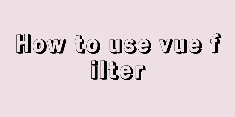 How to use vue filter