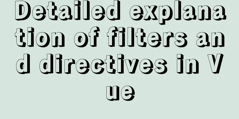 Detailed explanation of filters and directives in Vue