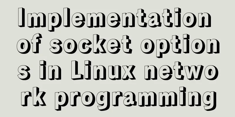 Implementation of socket options in Linux network programming