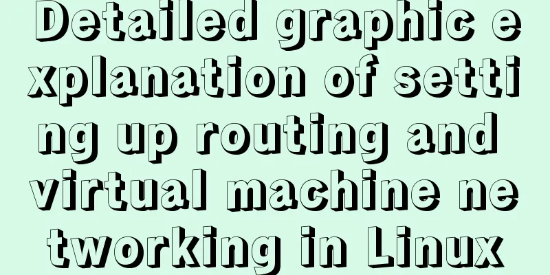 Detailed graphic explanation of setting up routing and virtual machine networking in Linux