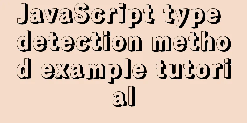 JavaScript type detection method example tutorial