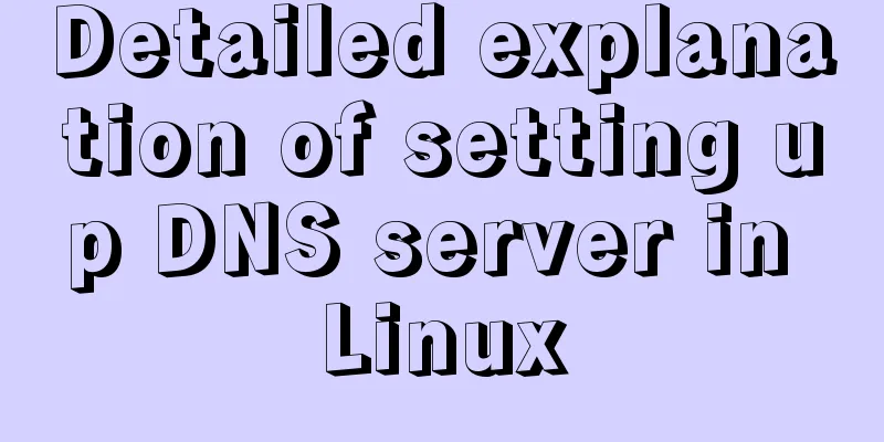 Detailed explanation of setting up DNS server in Linux