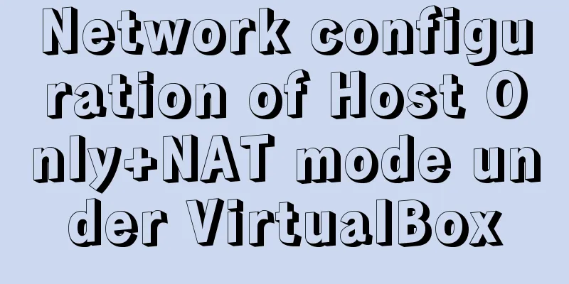 Network configuration of Host Only+NAT mode under VirtualBox
