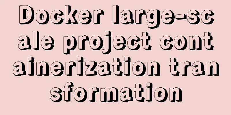 Docker large-scale project containerization transformation