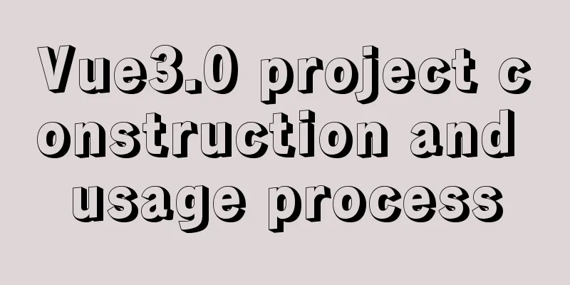 Vue3.0 project construction and usage process